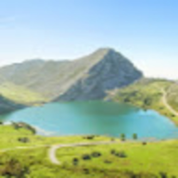 Meet your Posher, Elsa - Picture 1 of 1